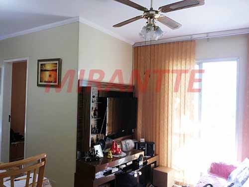 Apartamento de 50m² com 2 quartos em Vila Amalia
