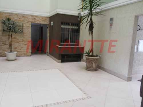 Apartamento de 50m² com 2 quartos em Vila Amalia