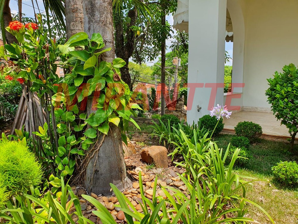 Sobrado de 577m² com 5 quartos em Jardim São Bento