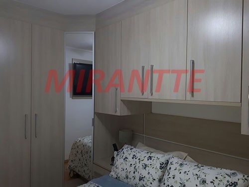 Apartamento com 3 quartos em Horto Florestal