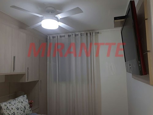 Apartamento com 3 quartos em Horto Florestal