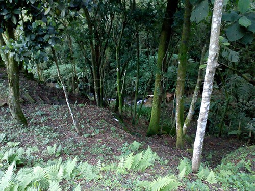 Casa terrea de 700m² com 3 quartos em Serra da Cantareira
