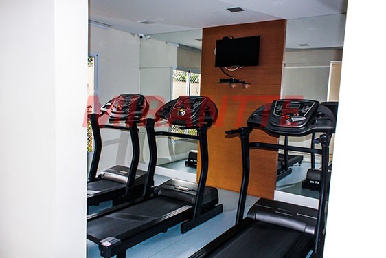 Apartamento de 75m² com 3 quartos em Belenzinho