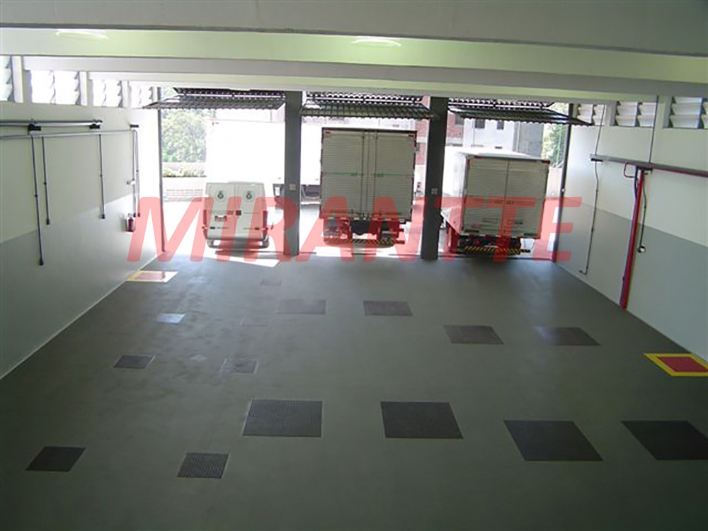 R2 Image 257491 #7