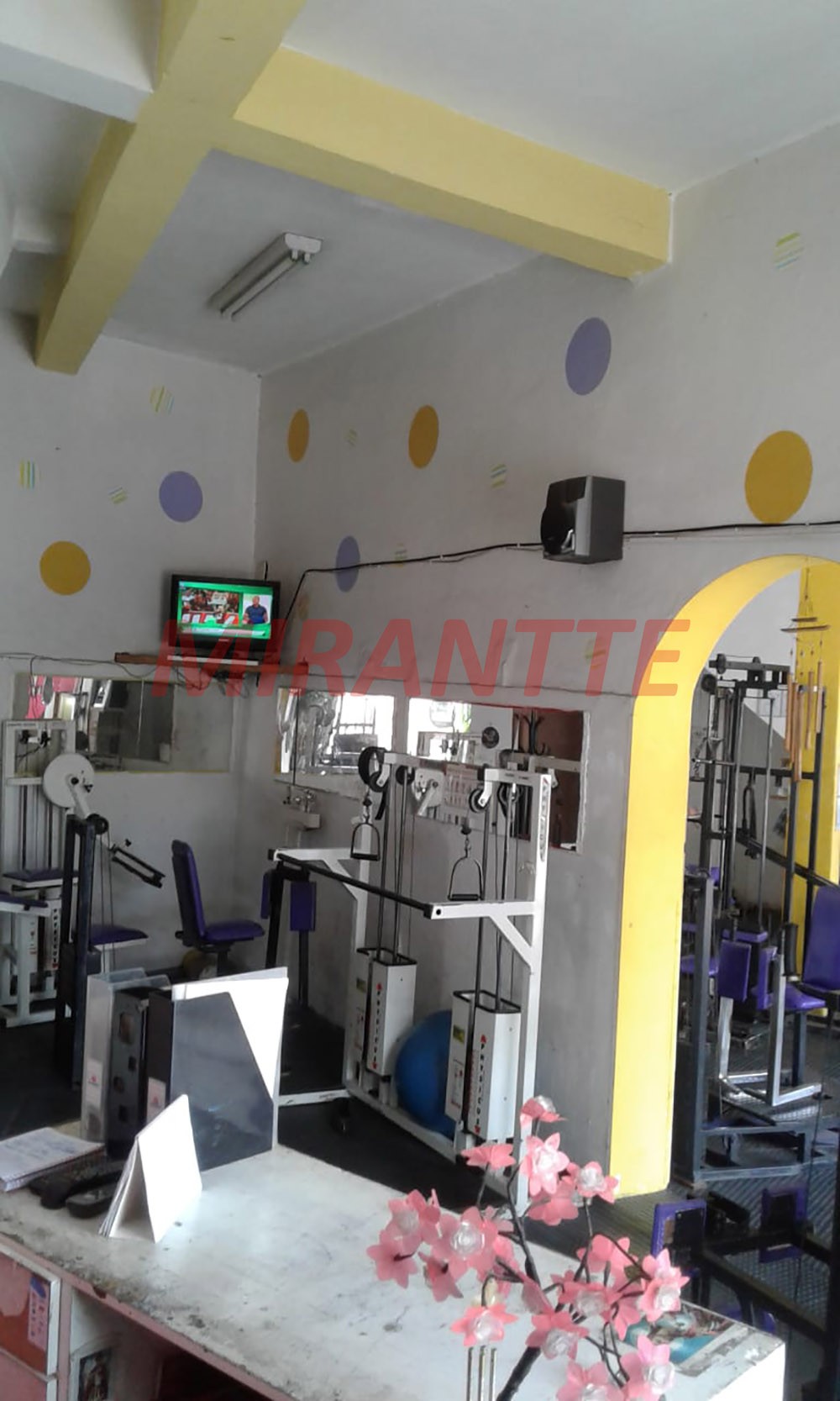 Comercial de 368m² com 6 quartos em Vila Isolina Mazzei