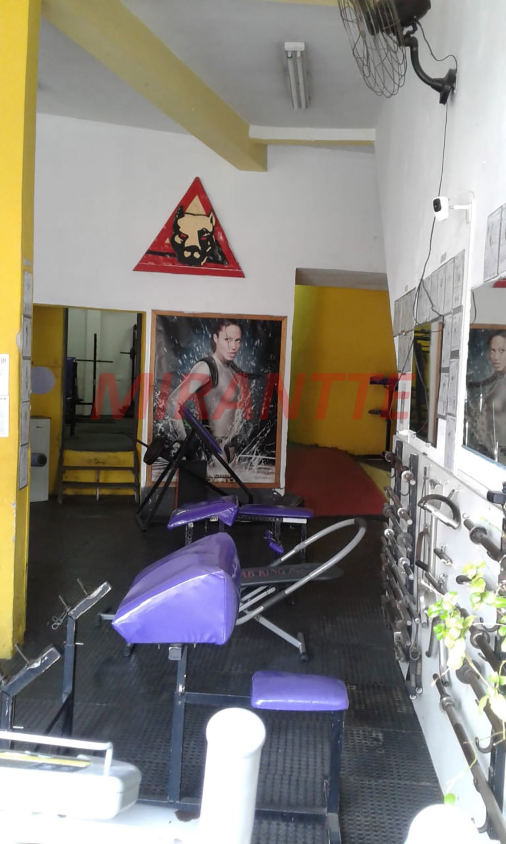 Comercial de 368m² com 6 quartos em Vila Isolina Mazzei