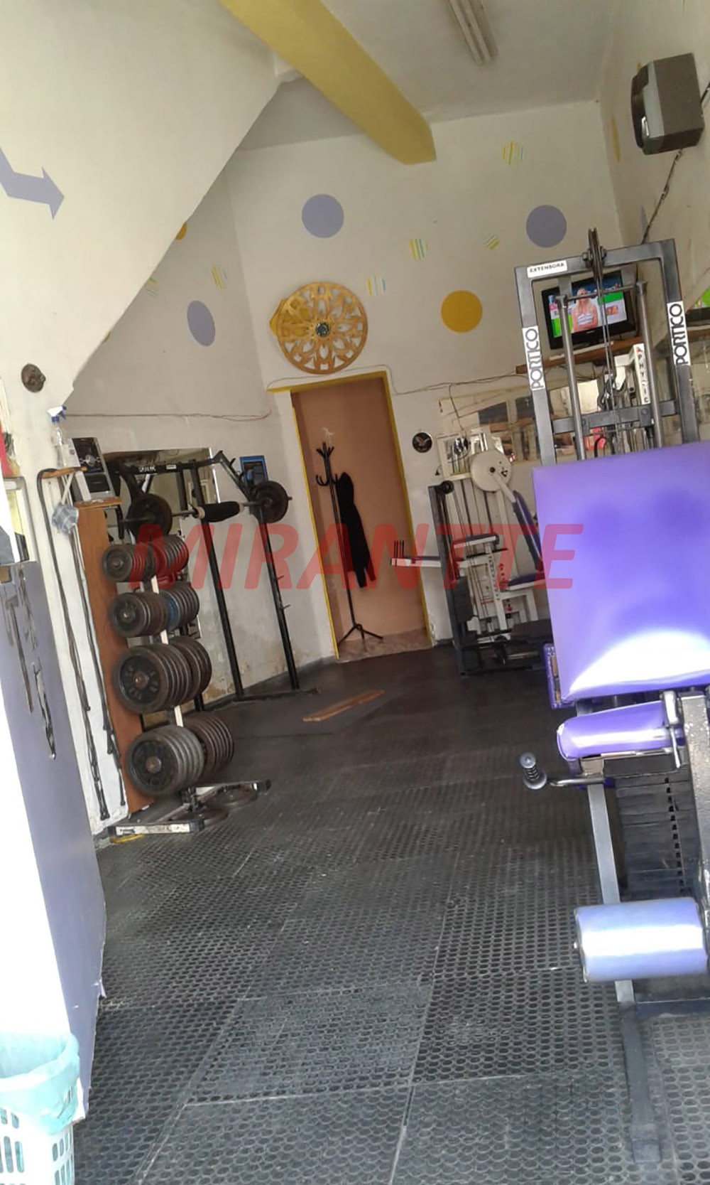 Comercial de 368m² com 6 quartos em Vila Isolina Mazzei