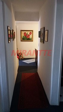 Apartamento com 3 quartos em Jaçana