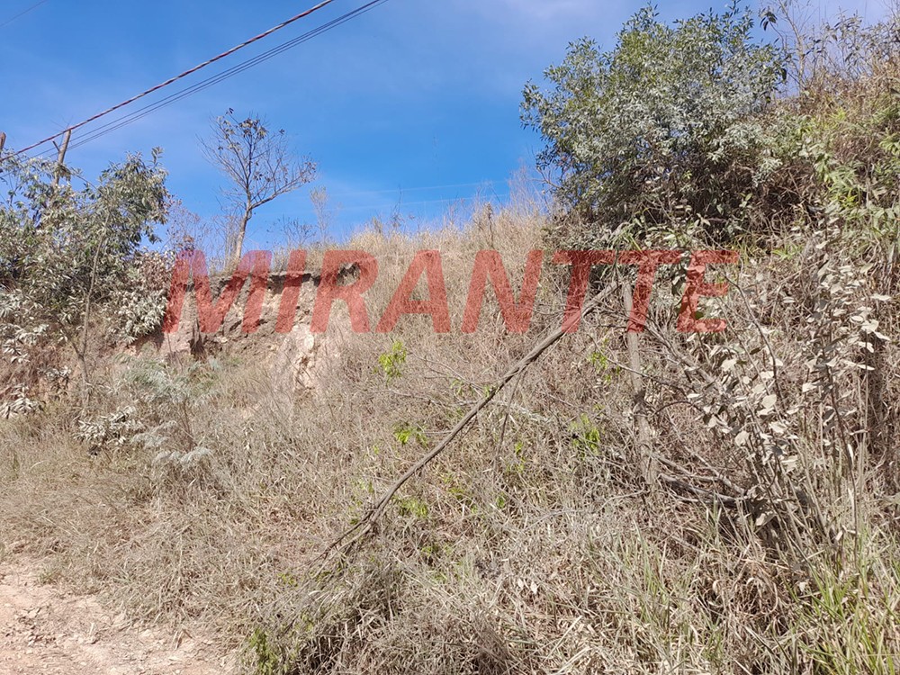 Terreno de 5865m² em Santa Ines