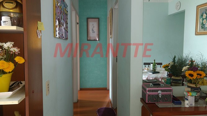 Apartamento de 62m² com 3 quartos em Mandaqui