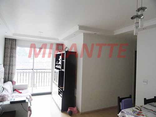 Apartamento de 50m² com 3 quartos em Jaraguá