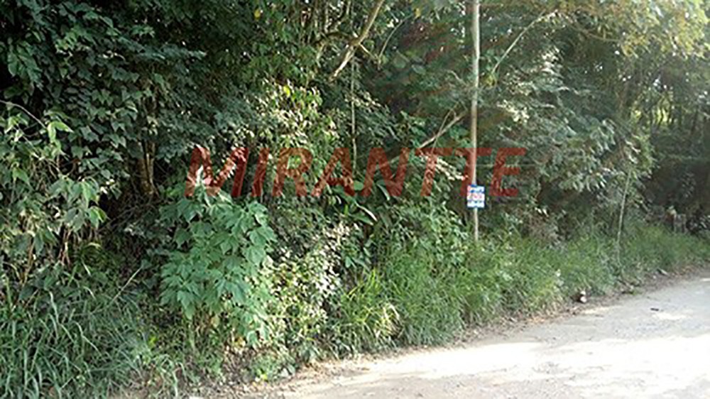 Terreno de 6000m² em Serra Da Cantareira
