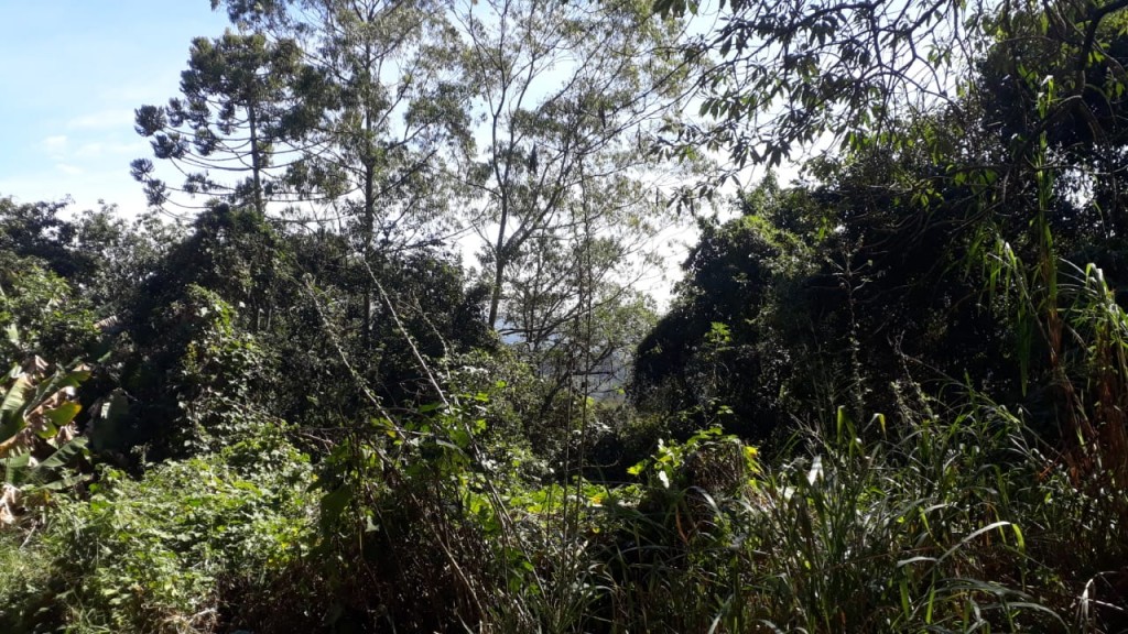 Terreno de 36520m² em Serra Da Cantareira