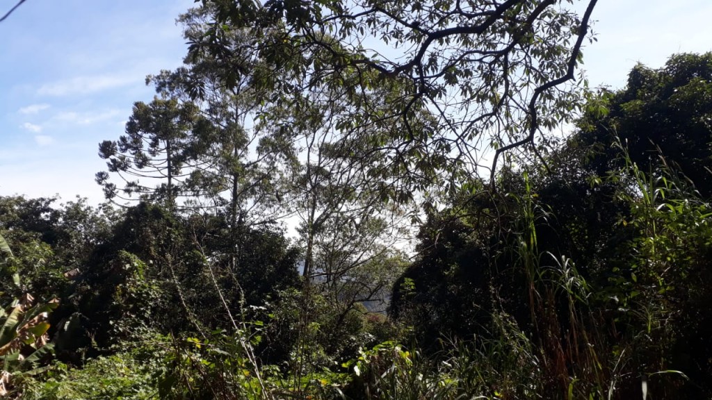 Terreno de 36520m² em Serra Da Cantareira