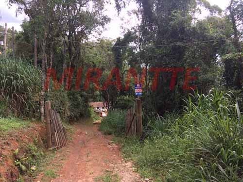 Terreno de 36520m² em Serra Da Cantareira