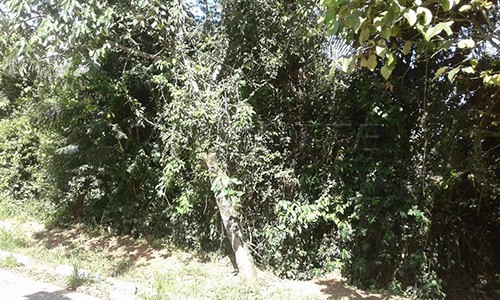 Terreno de 1393m² em Serra Da Cantareira