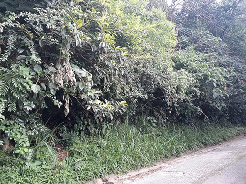 Terreno de 2118m² em Serra da Cantareira