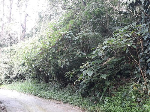 Terreno de 2118m² em Serra da Cantareira