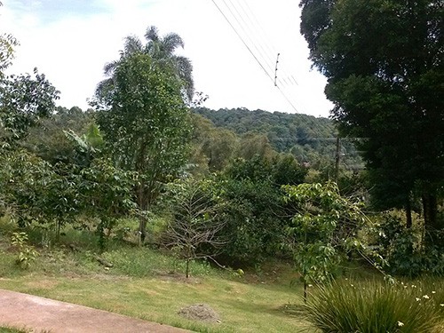 ChÁcara de 114m² com 4 quartos em Serra Da Cantareira