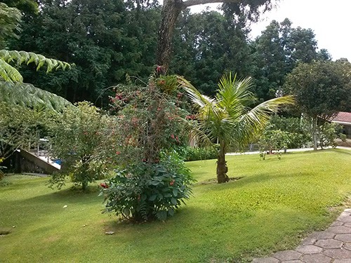 ChÁcara de 114m² com 4 quartos em Serra Da Cantareira