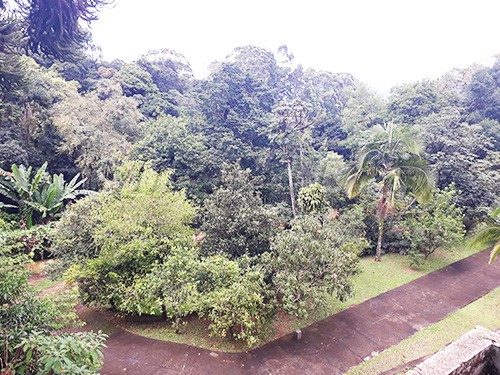 Casa terrea de 390m² com 5 quartos em Serra da Cantareira