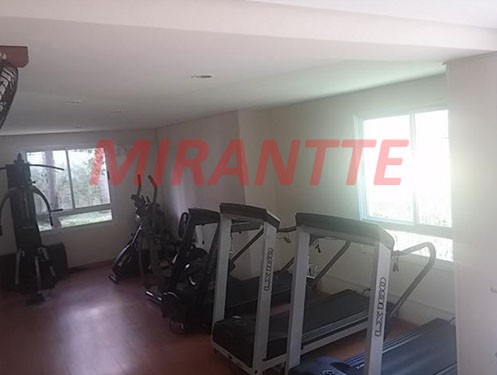 Apartamento de 55m² com 2 quartos em Vila Guarani