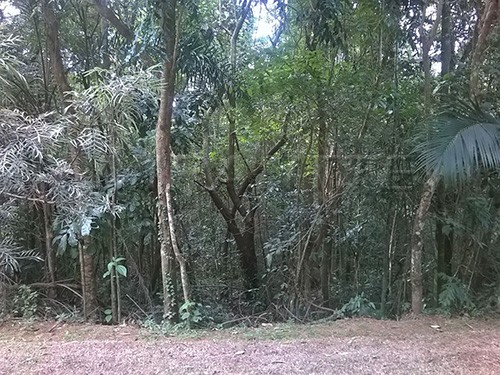 Terreno de 1442m² em Serra da Cantareira