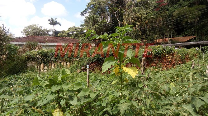 Terreno de 2500m² com 4 quartos em Horto Florestal