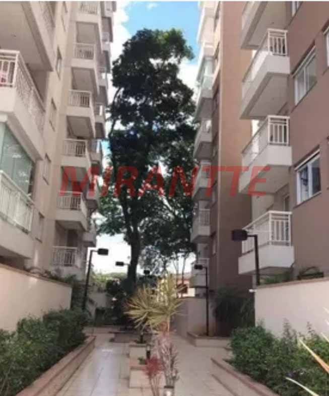 Apartamento de 55m² com 2 quartos em Horto Florestal