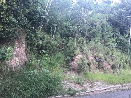 Terreno de 1150m² em Serra Da Cantareira