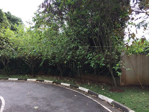 Terreno de 1.103m² em Serra Da Cantareira