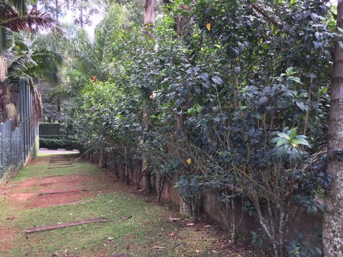 Terreno de 1.103m² em Serra Da Cantareira