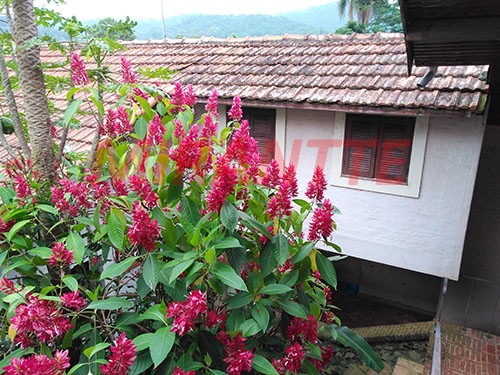 Casa terrea de 200m² com 4 quartos em Tremembe