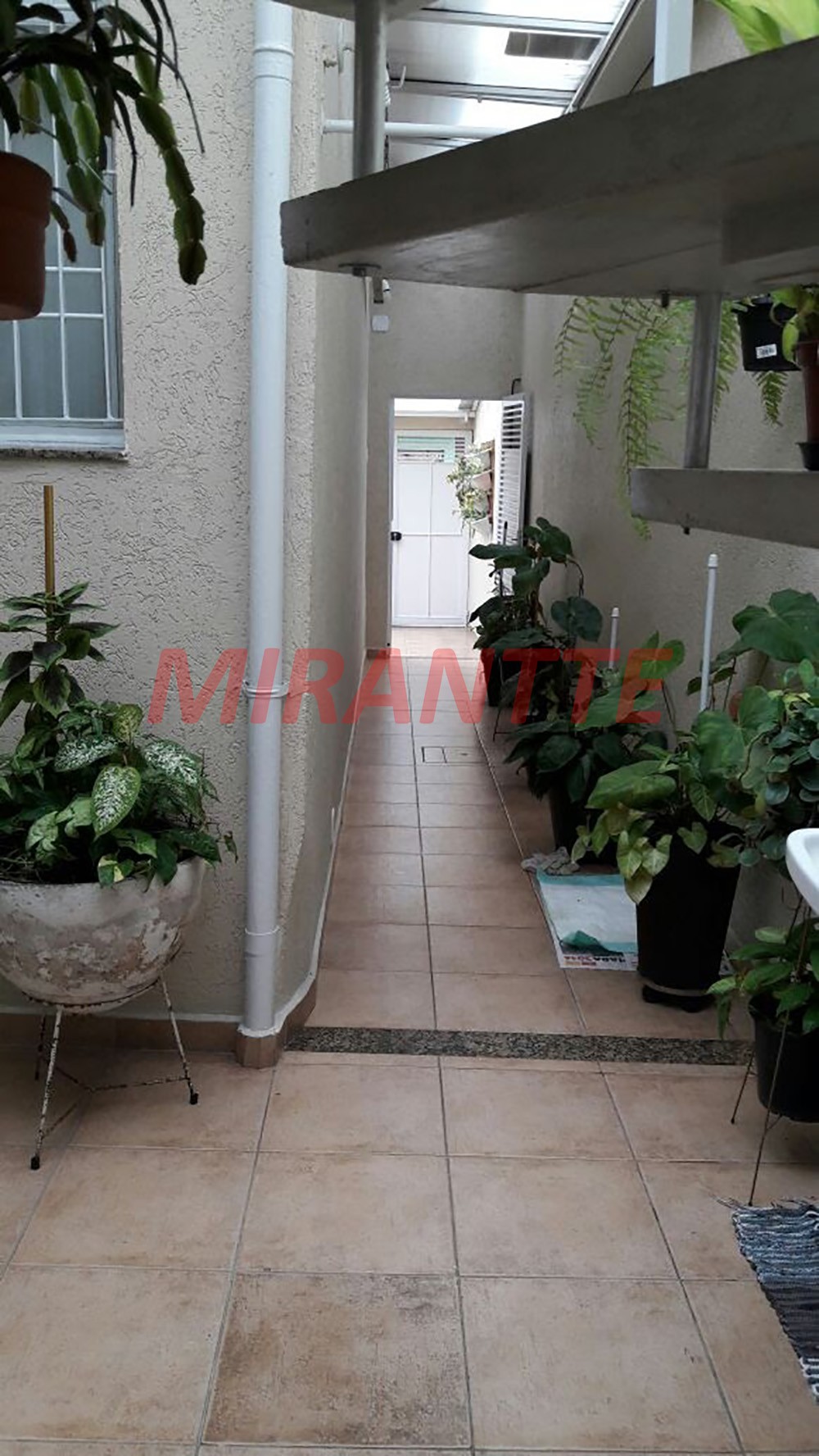Casa terrea de 220m² com 4 quartos em Tatuapé