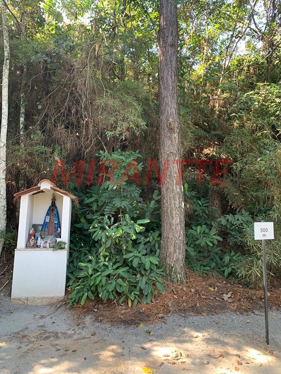 Cond. fechado de 833m² com 6 quartos em Condomínio Flamboyant-B