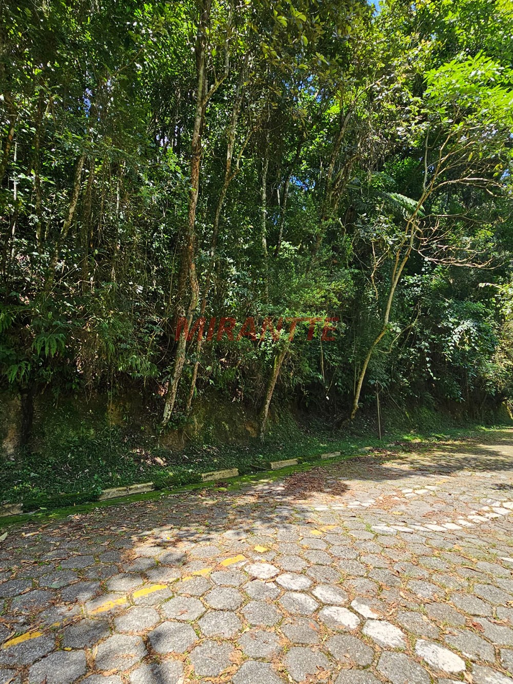 Terreno de 1290m² em Serra da Cantareira