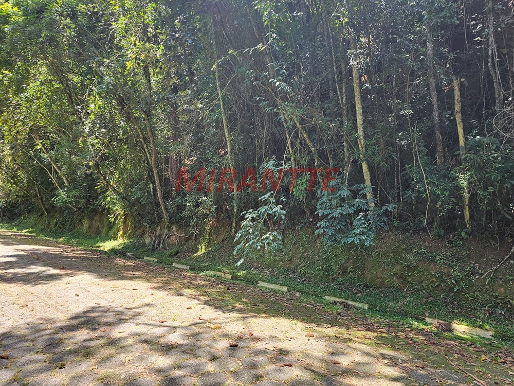 Terreno de 1290m² em Serra da Cantareira