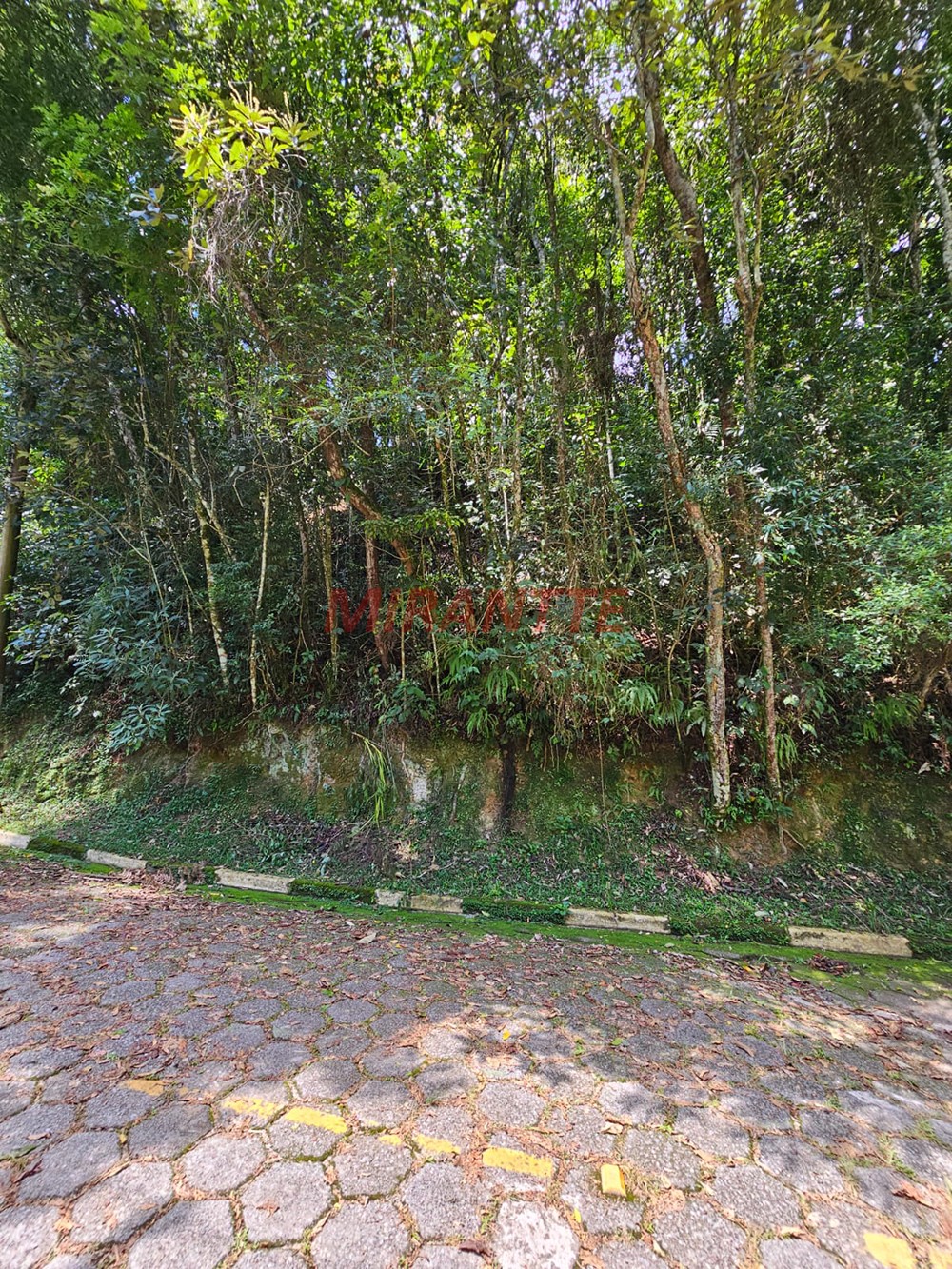 Terreno de 1290m² em Serra da Cantareira
