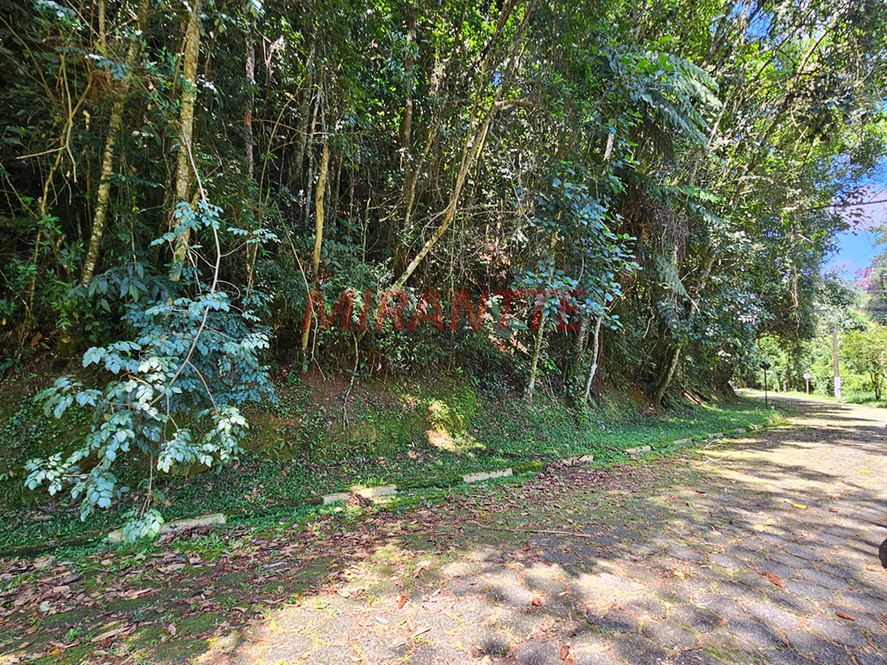 Terreno de 1290m² em Serra da Cantareira