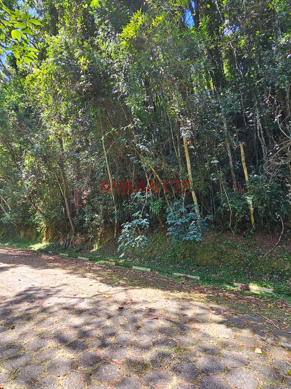 Terreno de 1290m² em Serra da Cantareira