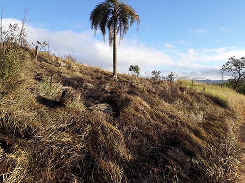 Terreno de 9000m² em Serra Da Cantareira