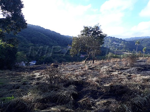Terreno de 9000m² em Serra Da Cantareira