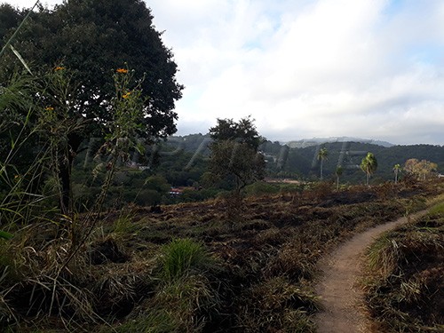Terreno de 9000m² em Serra Da Cantareira