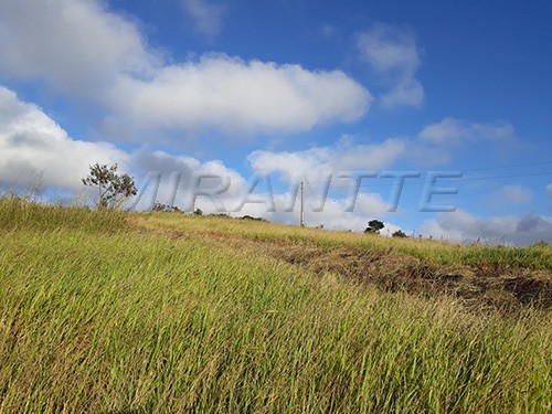 Terreno de 9000m² em Serra Da Cantareira