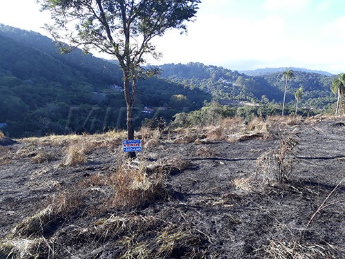 Terreno de 9000m² em Serra Da Cantareira