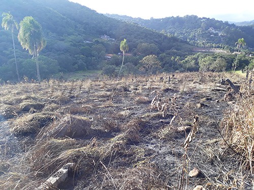 Terreno de 9000m² em Serra Da Cantareira