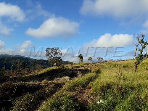 Terreno de 9000m² em Serra Da Cantareira