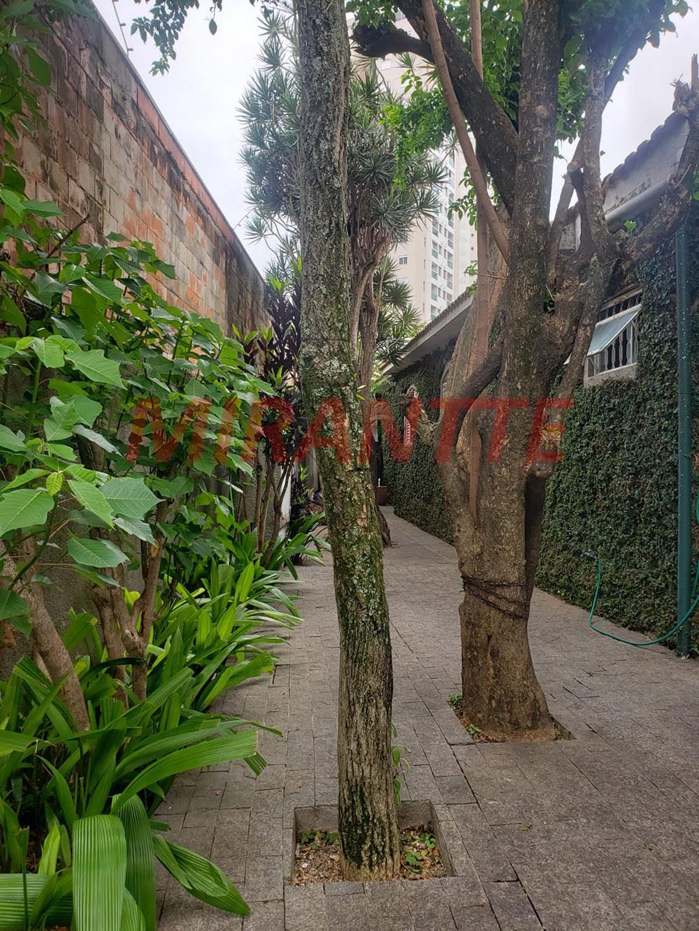 Casa terrea de 248m² com 3 quartos em Santa Terezinha