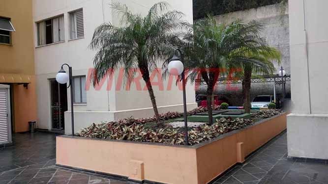 Apartamento de 48m² com 2 quartos em Lauzane Paulista