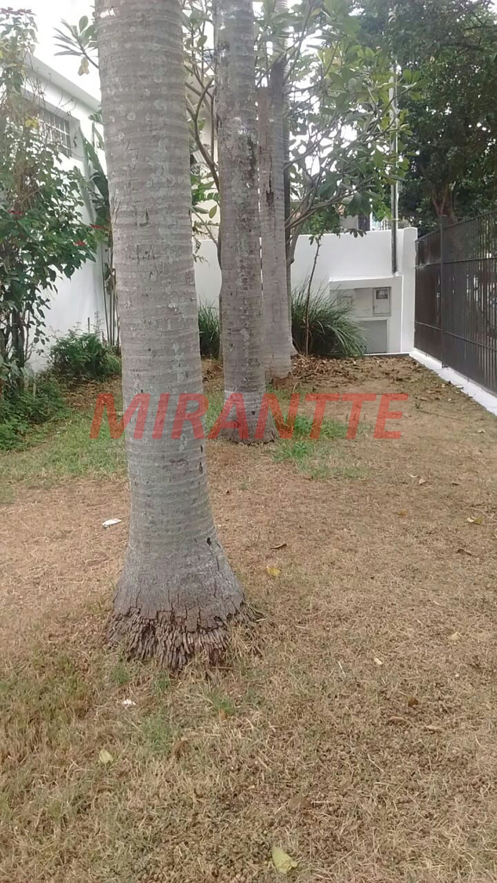 Comercial de 262m² em Granja Julieta